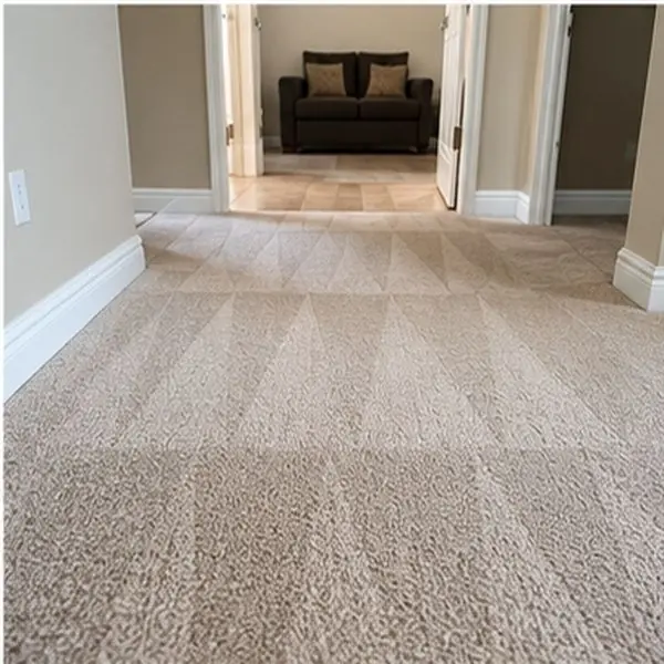 Carpet cleaning results in Albanvale VIC