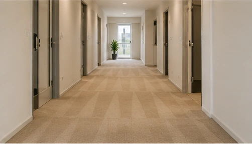 Carpet types cleaned in Albanvale